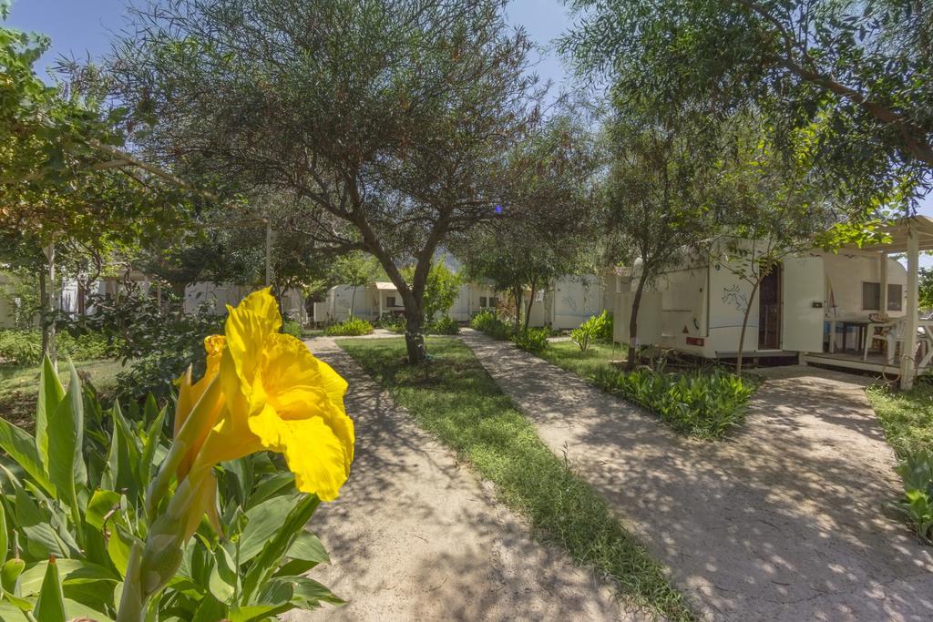 S3 Seahorse Beach Club Олудениз Номер фото